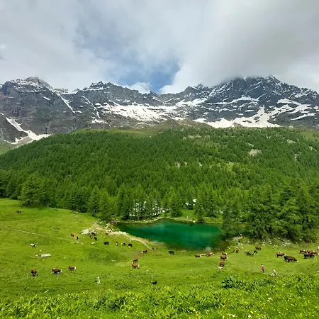 Vista Cervino Apartament